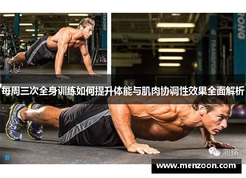 每周三次全身训练如何提升体能与肌肉协调性效果全面解析